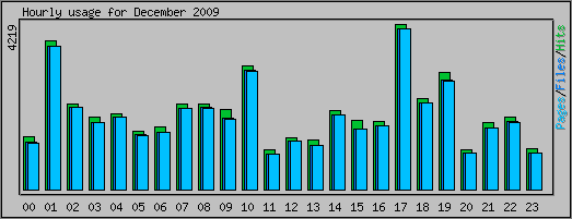 Hourly usage