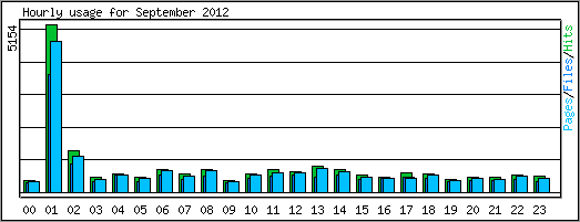 Hourly usage