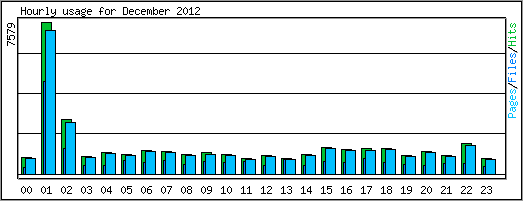 Hourly usage