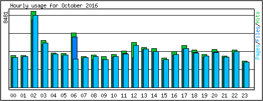 Hourly usage