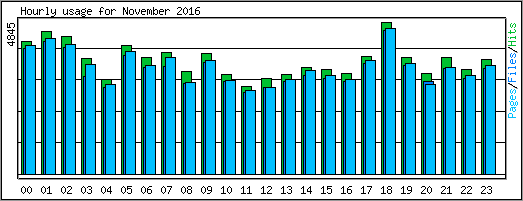 Hourly usage