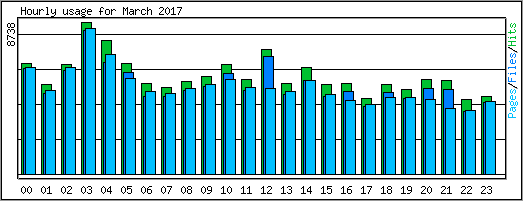 Hourly usage