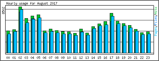 Hourly usage