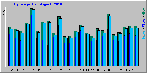 Hourly usage for August 2010