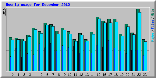 Hourly usage for December 2012