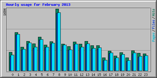 Hourly usage for February 2013