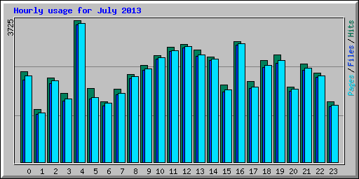 Hourly usage for July 2013