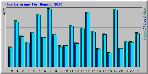 Hourly usage for August 2013