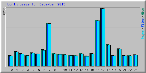 Hourly usage for December 2013