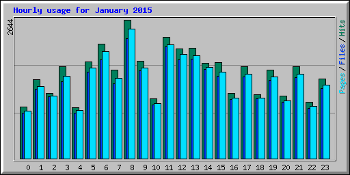 Hourly usage for January 2015