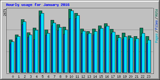 Hourly usage for January 2016