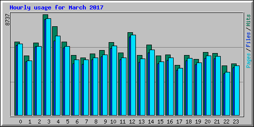 Hourly usage for March 2017